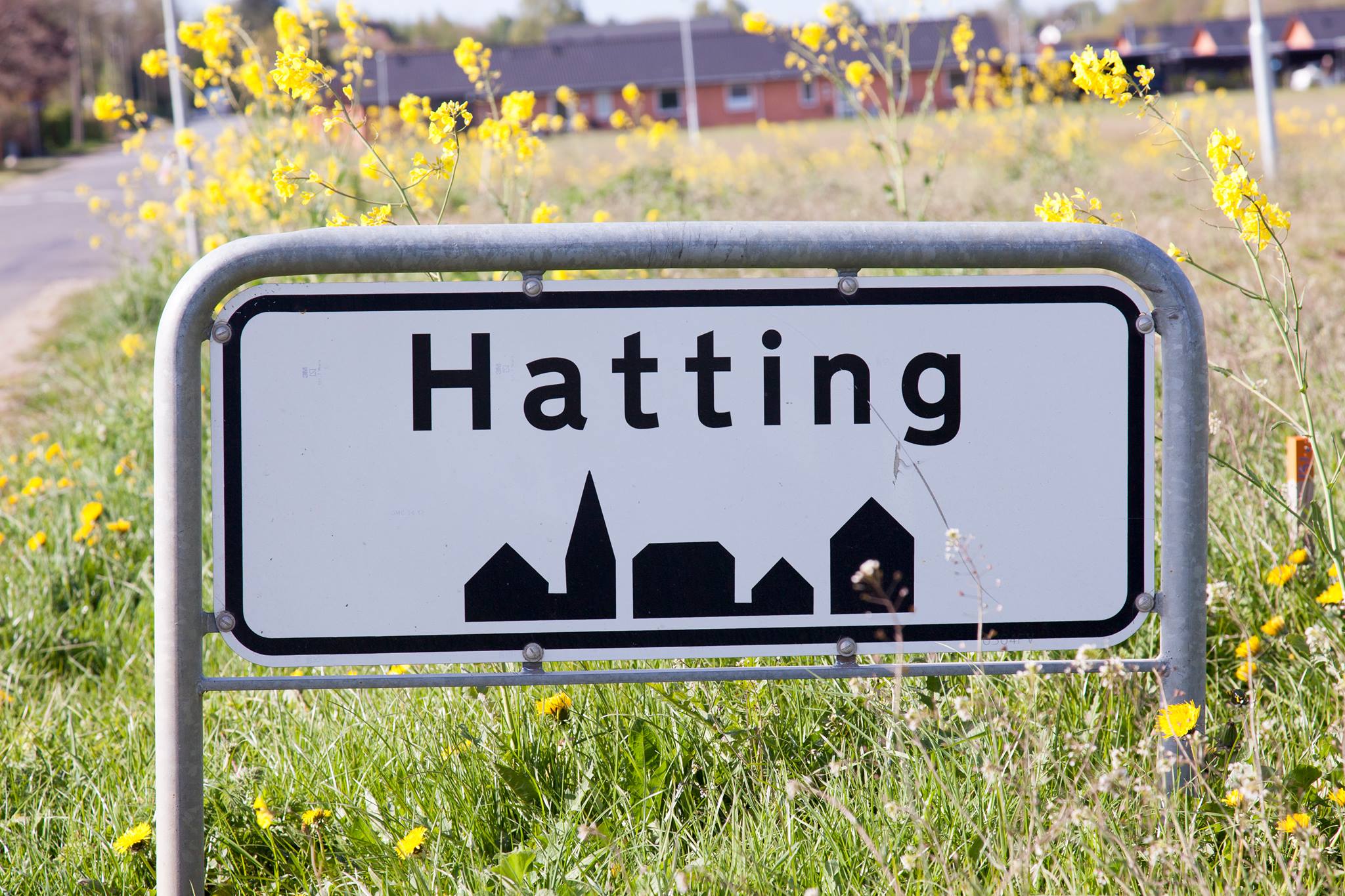 Mit Hatting